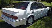 Pintara TRX