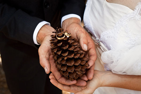 wedding rings on a pine cone