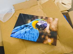 first view of the metal print