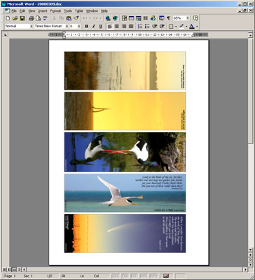 laying out multiple images in Microsoft Word