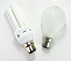 compact fluorescent lamp and incandescent globe