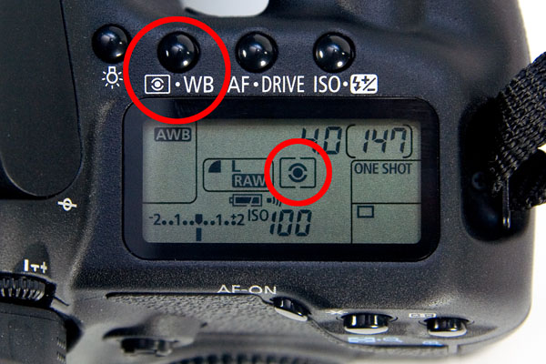 metering mode button and currently selected metering mode