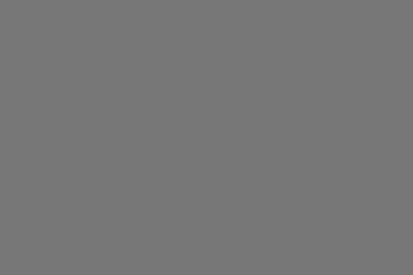 middle grey