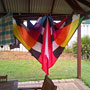 9' Levitation Delta kite hanging out to dry