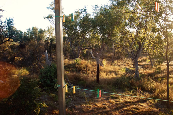 the view out my donga door