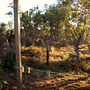 the view out my donga door
