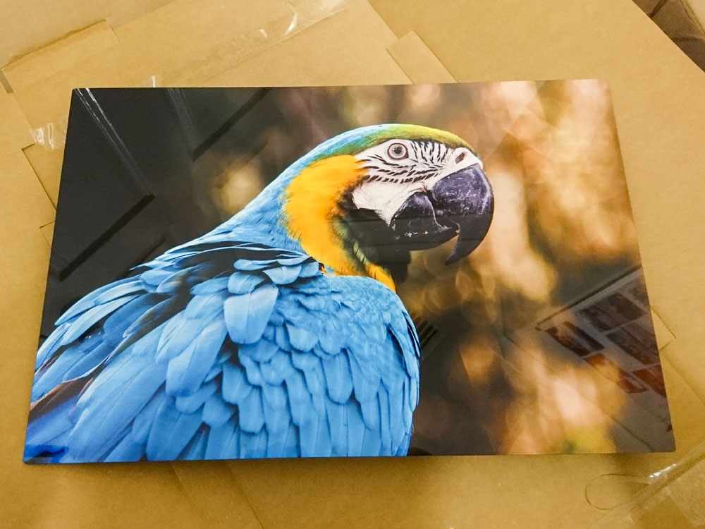 the metal print