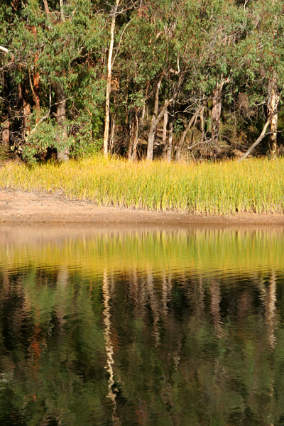 reflections over Glen Brook Dam