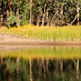 reflections over Glen Brook Dam