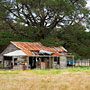an old shack