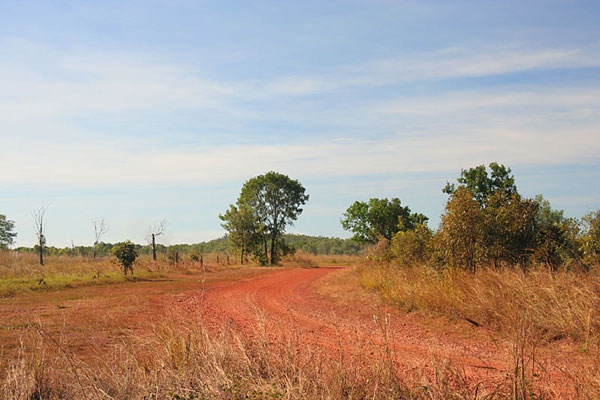 Gravel road east of Darwin