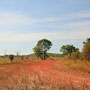 Gravel road east of Darwin