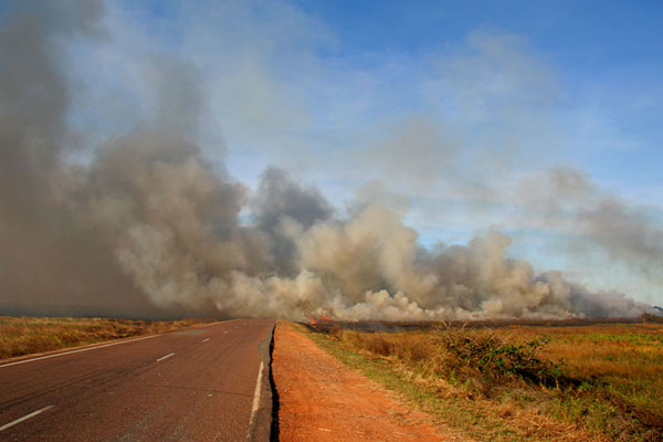 Grass fire near South Alligator