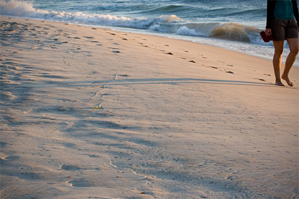 long shadows on the beach