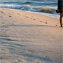 long shadows on the beach