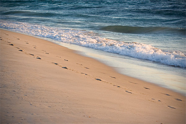 footprints in the sand