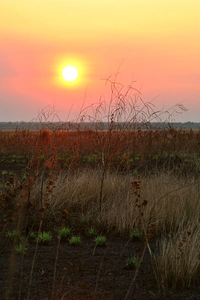 Sunset through the smoke of a grass fire