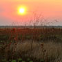 Sunset through the smoke of a grass fire