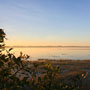 Dawn at Mamukala Wetlands