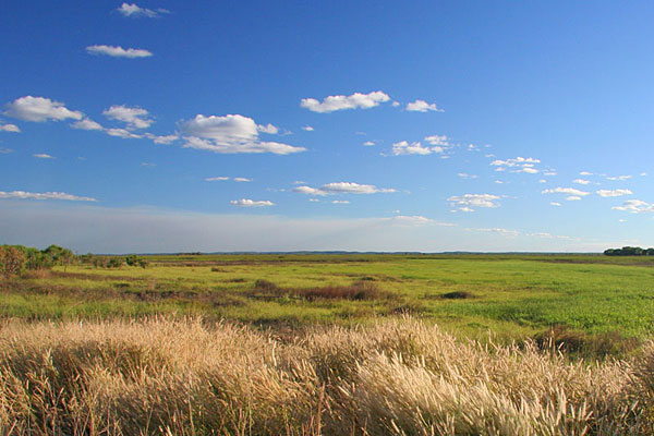 Darwin scenery