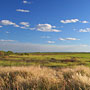 Darwin scenery
