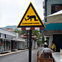 drunken people crossing