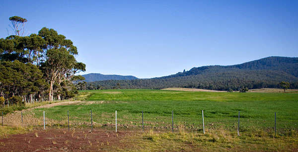 typical Tassie scenery