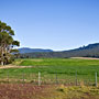 typical Tassie scenery