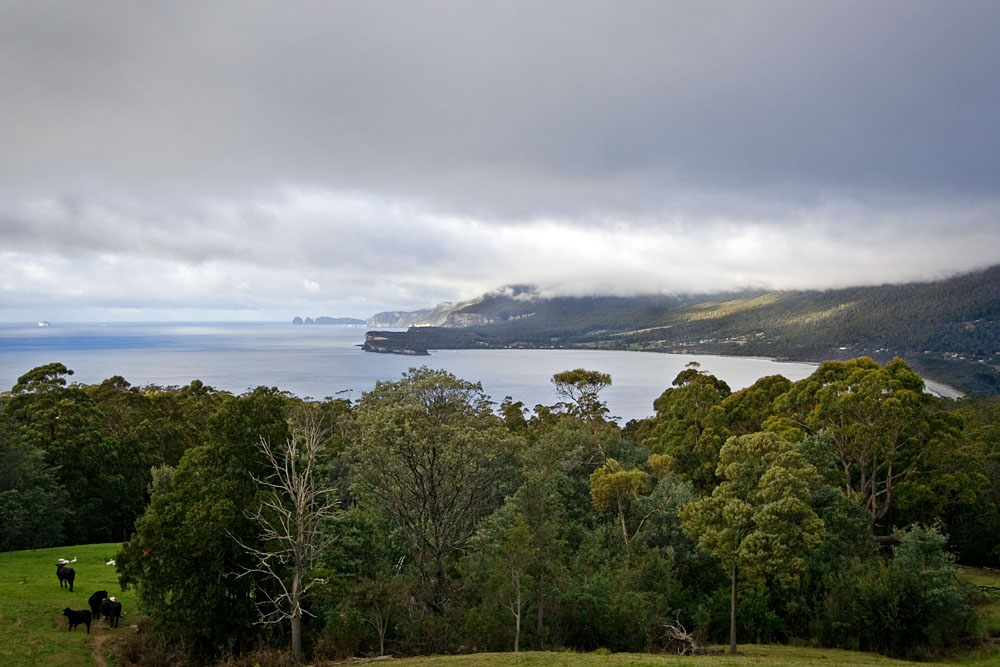 Pirates Bay