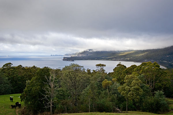 Pirates Bay
