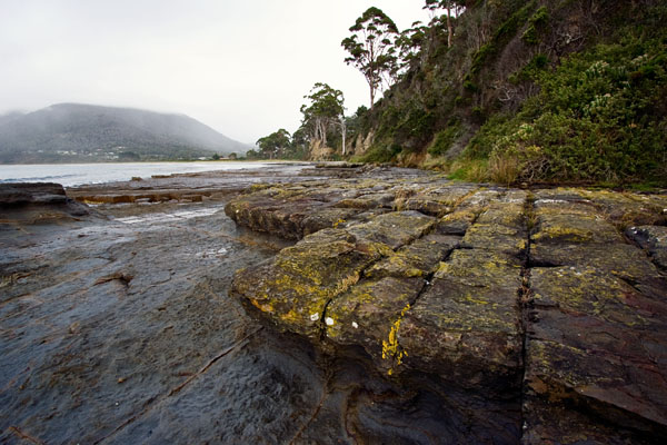 loaf formations at the Tessellated Pavement