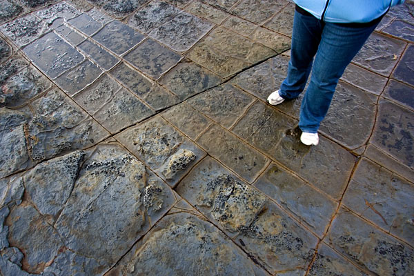 pan formations at the Tessellated Pavement