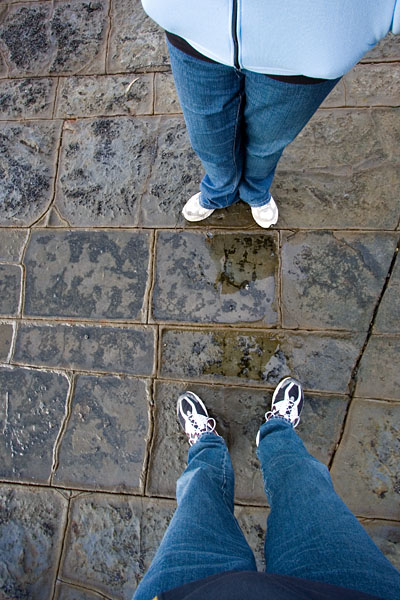 pan formations at the Tessellated Pavement