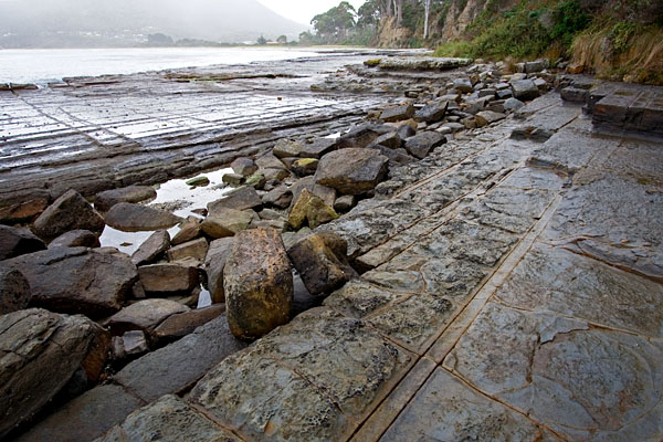 Tessellated Pavement