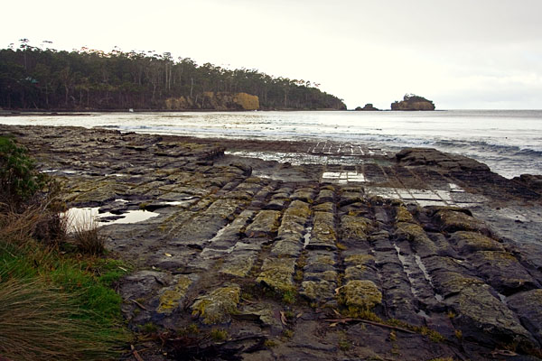 Tessellated Pavement