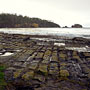Tessellated Pavement