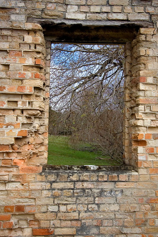 window view