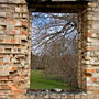 window view