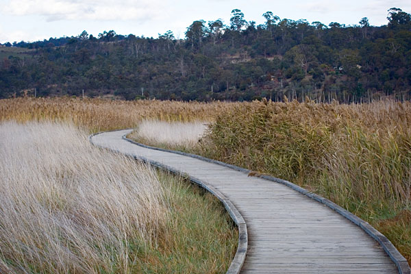 walkway curves