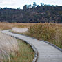 walkway curves