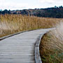 walkway curves II