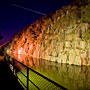 Cataract Gorge at night