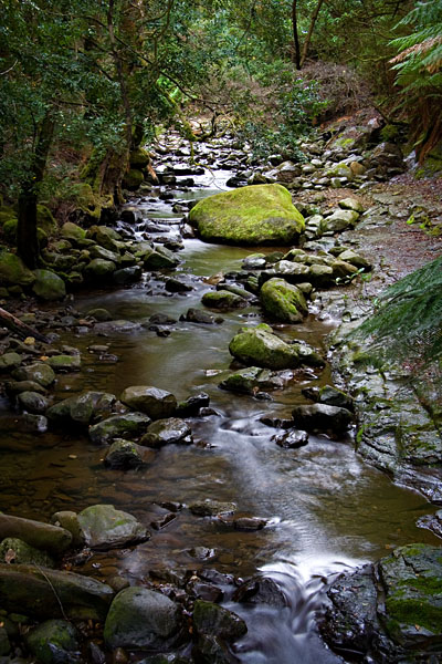 stream