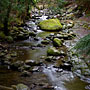 stream