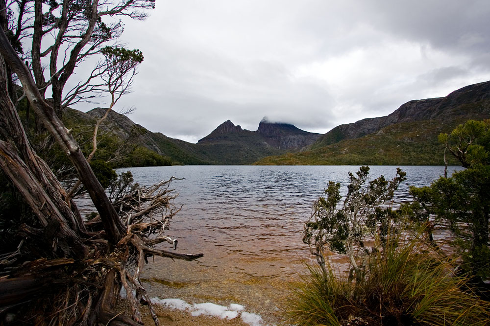 Dove Lake and Cradle Mountain