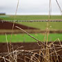 barbed wire fence