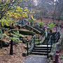 the Maple Steps