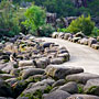 rocks
