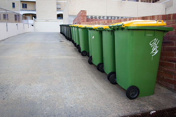 bins standing guard