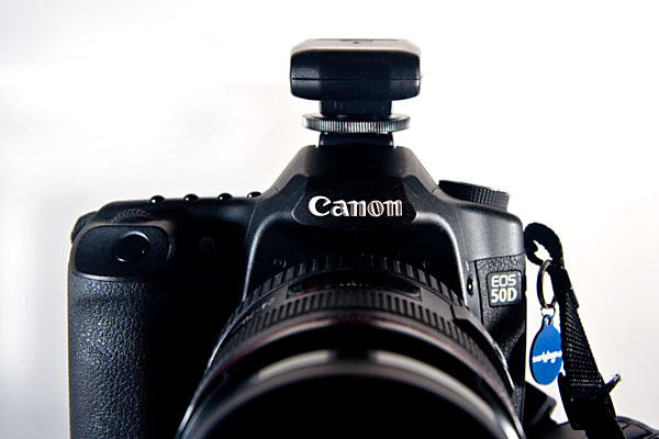 Tetra transmitter mounted on Canon 50D